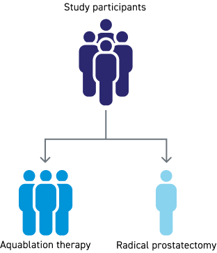 Illustration of WATER IV PCa clinical study arms